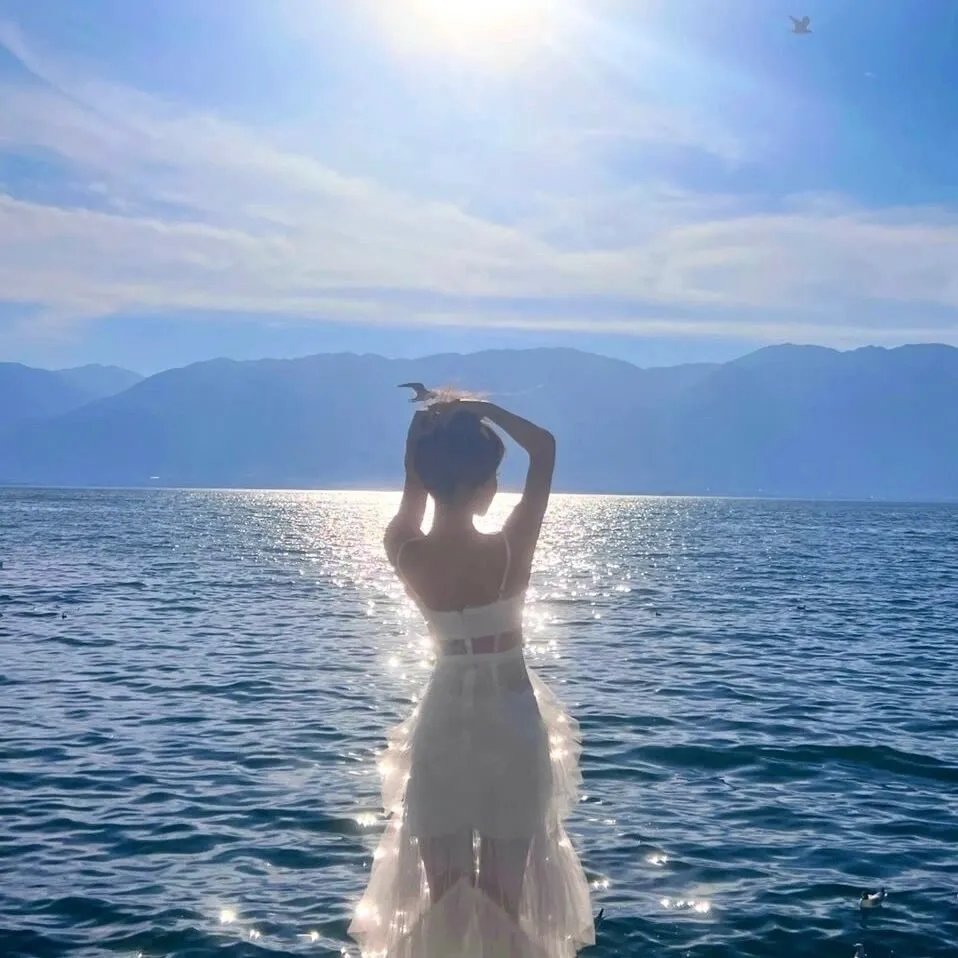 梦回蓝海 在线观看